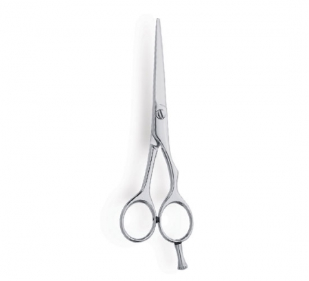 Professional Hair Cutting Scissor